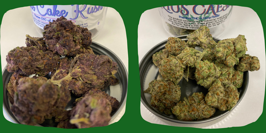 Discover Two New Strains at PhenomWell CBD Store: Purple Cake Kush and Julius Caesar - PhenomWell CBD Store