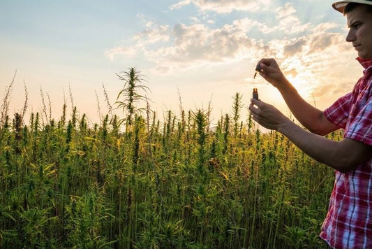CBD and pain - PhenomWell CBD Store