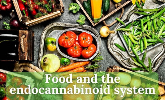 Food and our endocannabinoid system - PhenomWell CBD Store