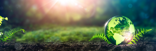 Hemp and the environment - PhenomWell CBD Store