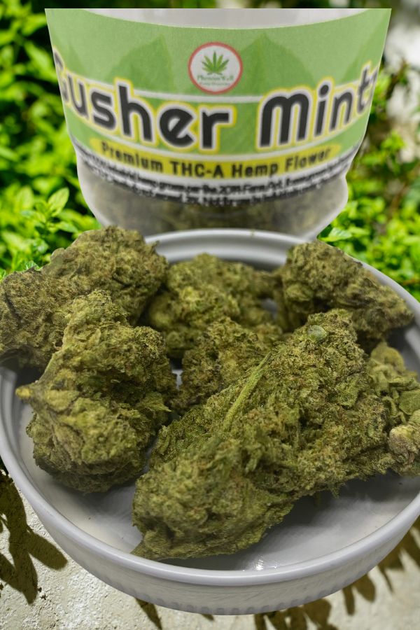 Gusher Mintz THCA Flower