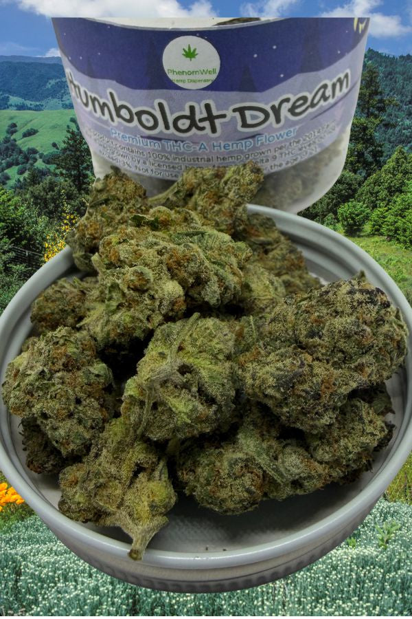 Humboldt Dream