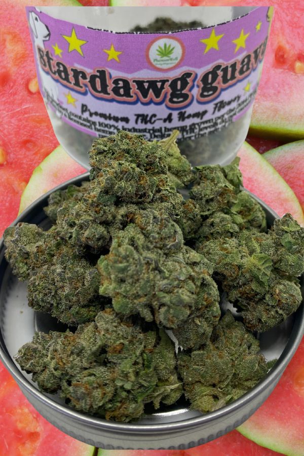 Stardawg Guava THCA Flower