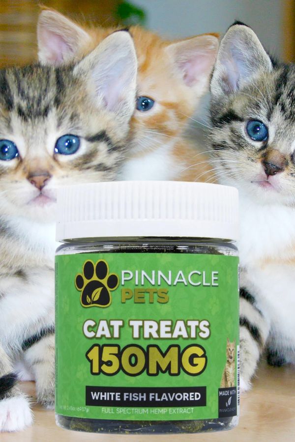 Pinnacle Cat Treats - PhenomWell CBD Store