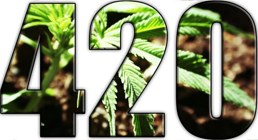 The evolution of 420 - PhenomWell CBD Store