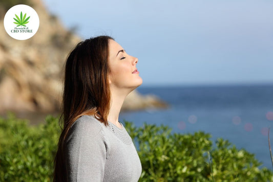 A low cost anxiety-reducer - PhenomWell CBD Store