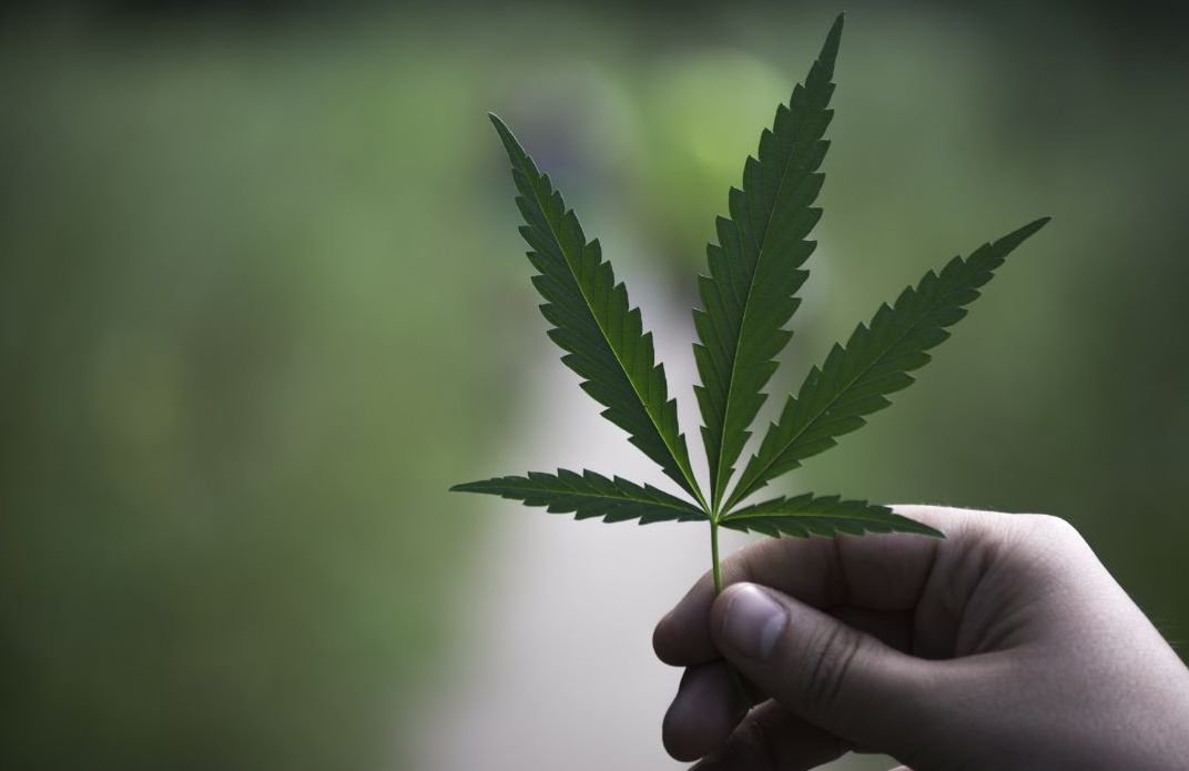 What Texas Just Did to Hemp — And Why Every Cannabis Consumer Should Pay Attention