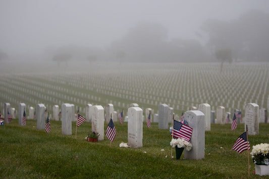 Honoring Memorial Day - PhenomWell CBD Store