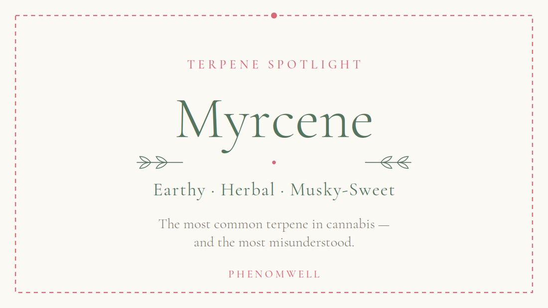 Myrcene: The Most Common Terpene