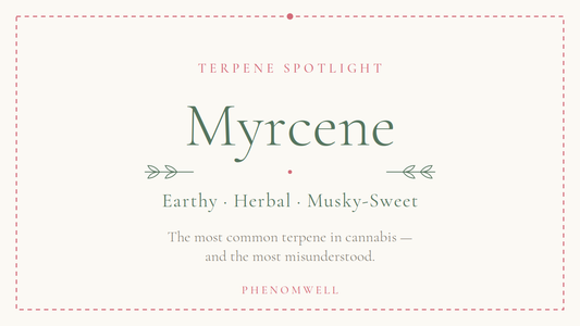Myrcene: The Most Common Terpene