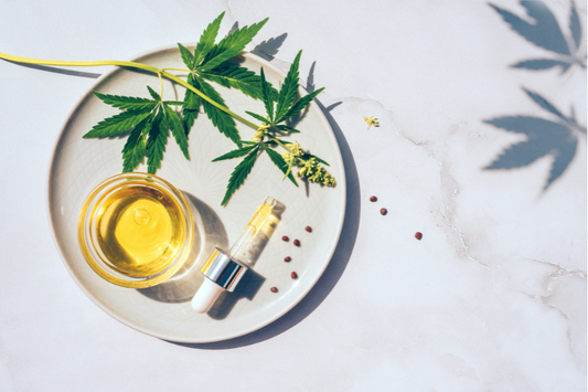 The hemp journey: from seed to product - PhenomWell CBD Store