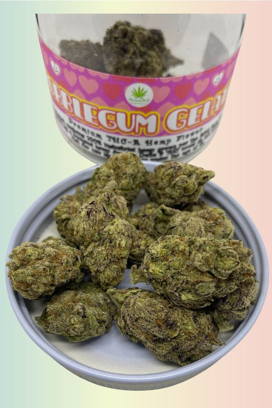 Bubblegum Gelato THCA Flower