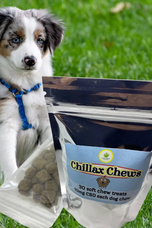 Chillax Chews - PhenomWell CBD Store