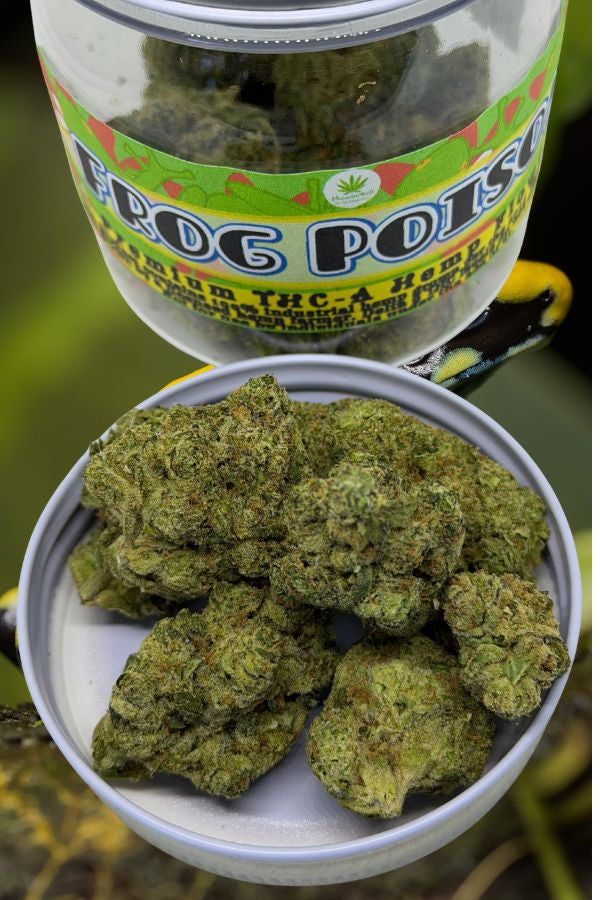 Frog Poison THCA Flower