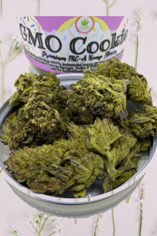 GMO Cookies THCA Flower