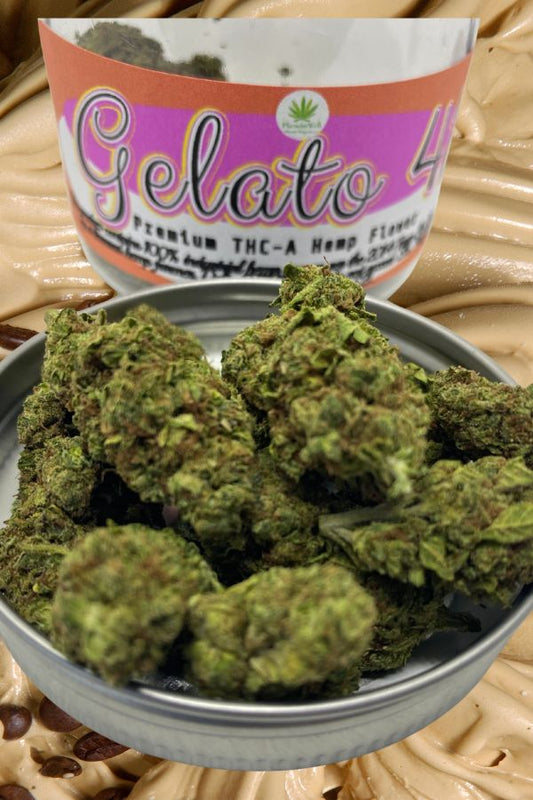 Gelato 41 THCA Flower