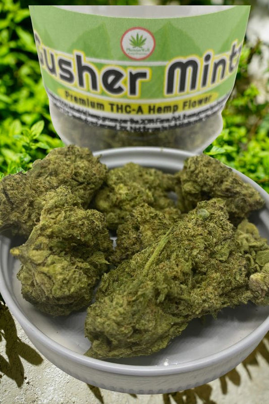 Gusher Mintz THCA Flower