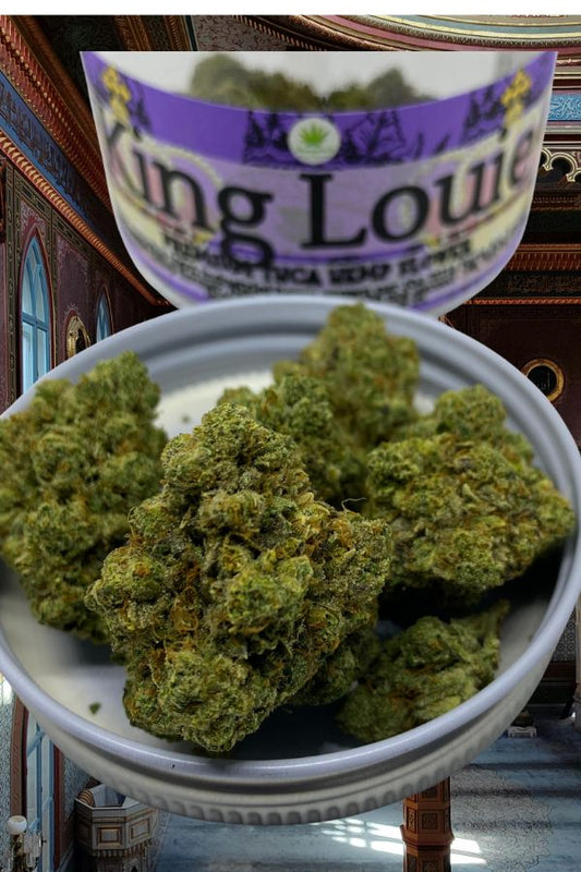 King Louie THCA Flower