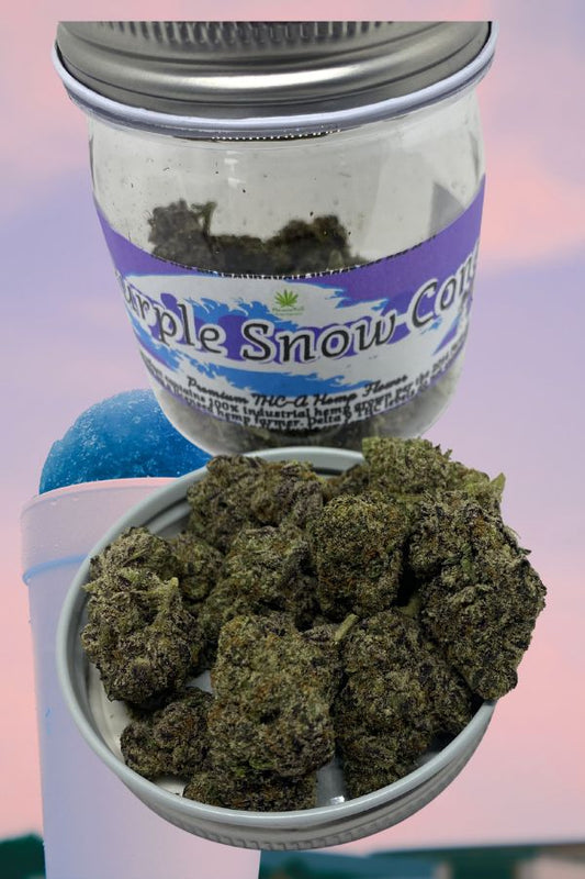 Purple Snow Cone Flower