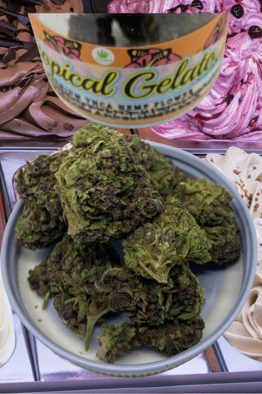 Tropical Gelato THCA Flower